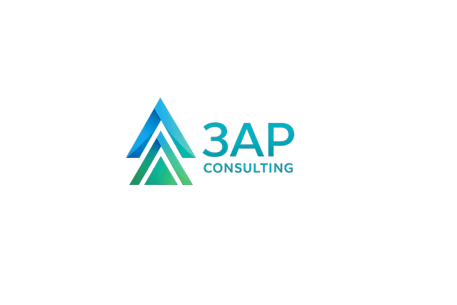 3AP Consulting